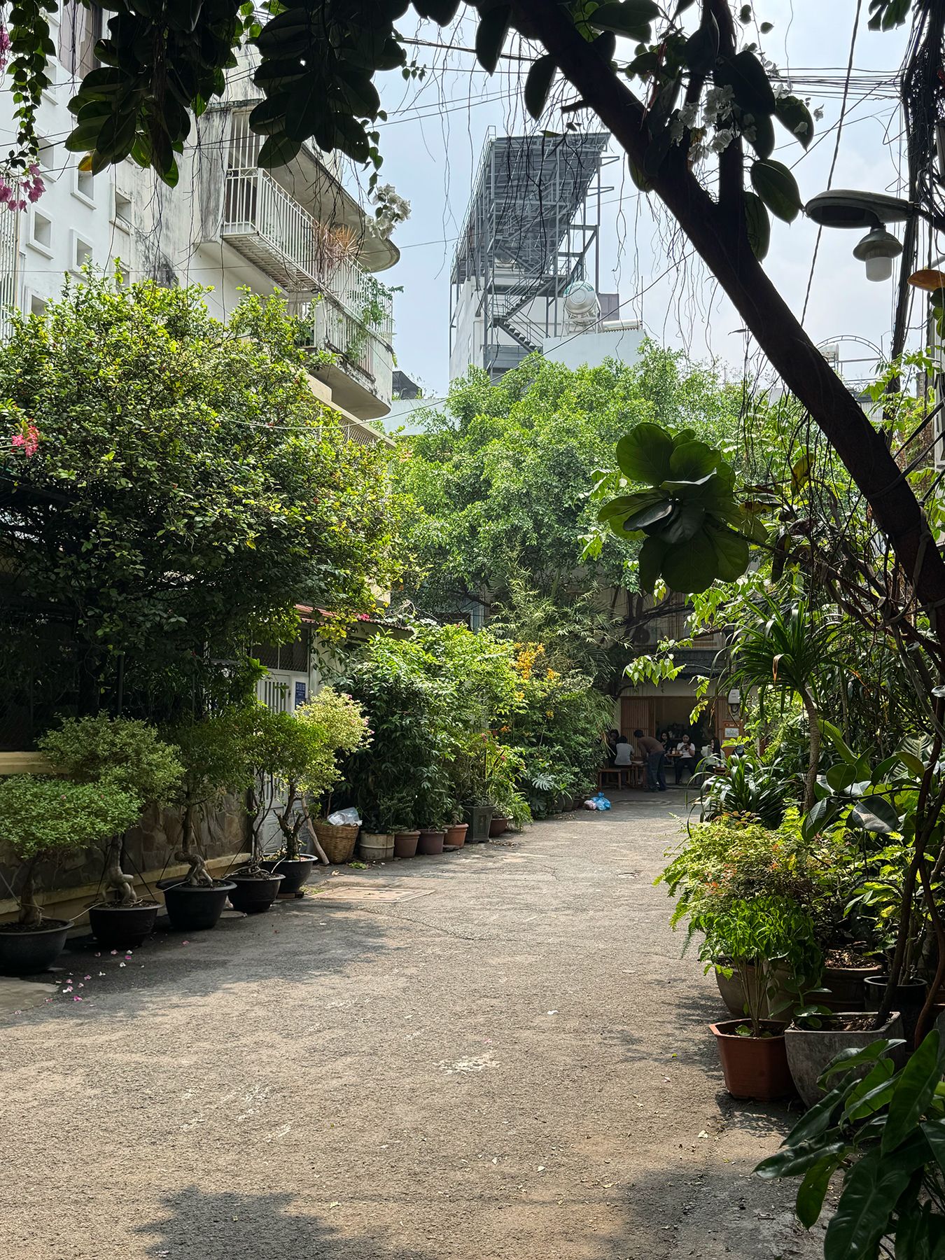 Tiểu khu Tân Định