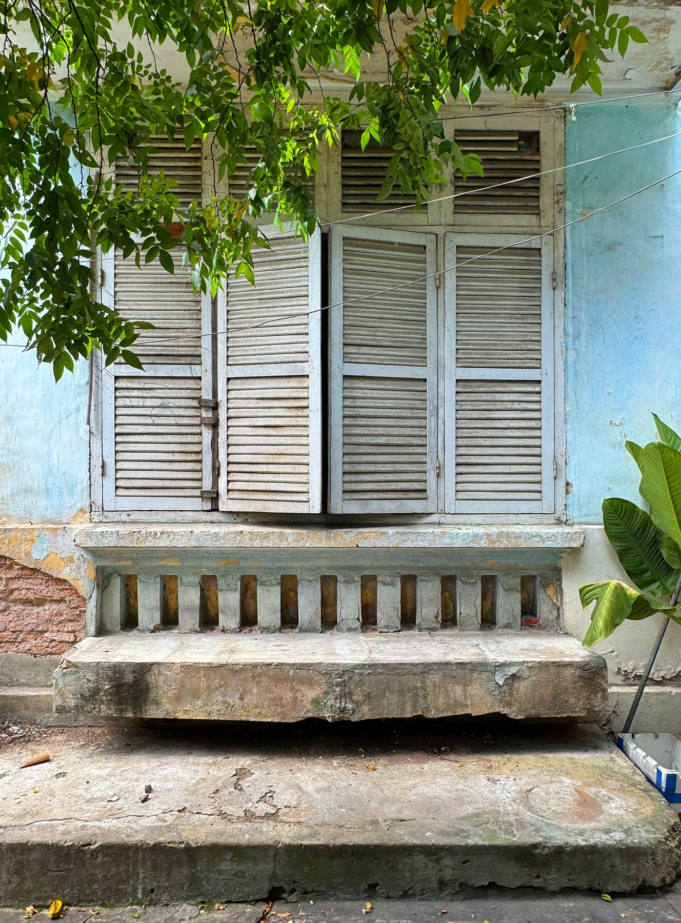Cửa lá sách 