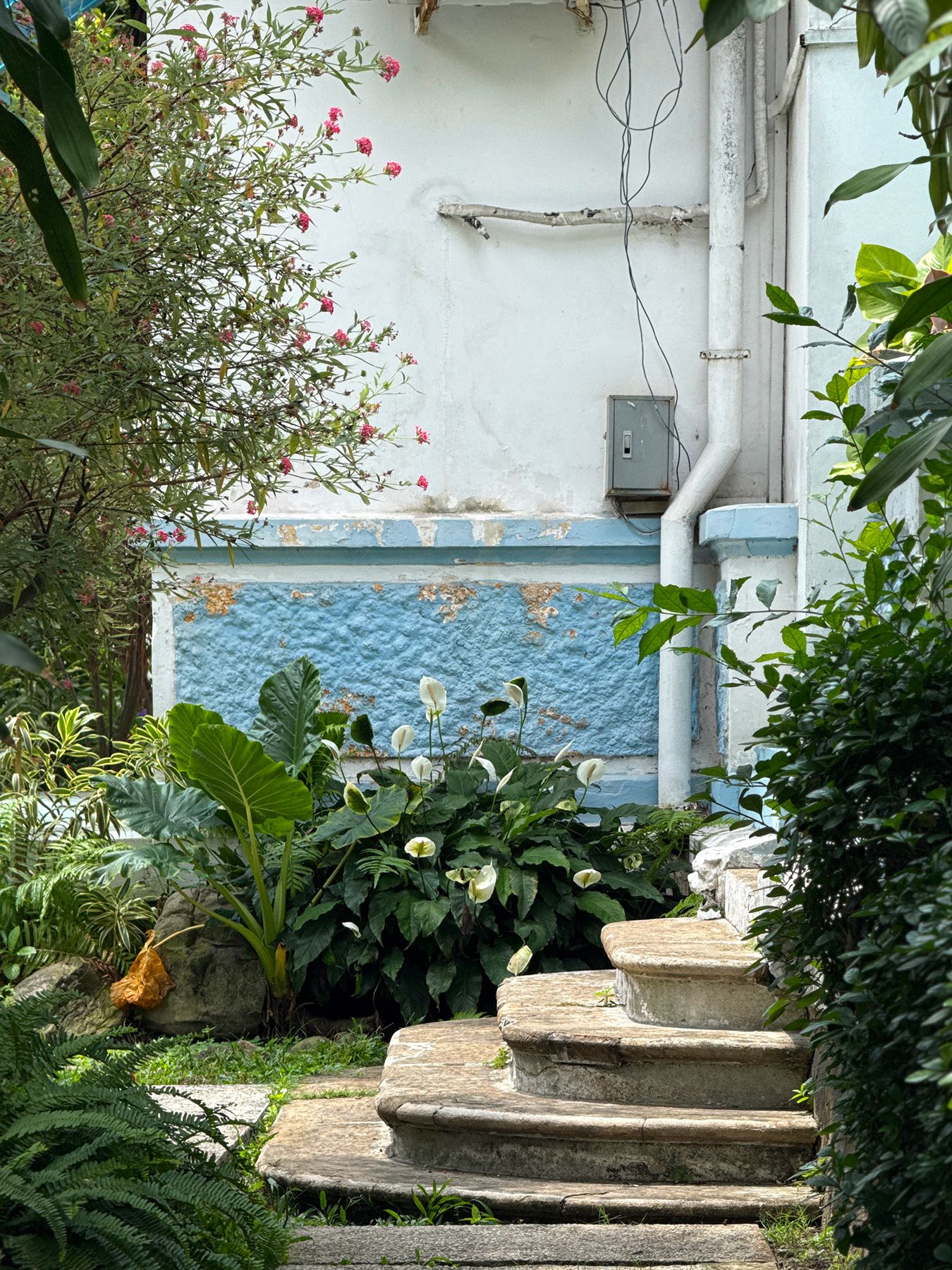 Biệt thự 60 Võ Văn Tần