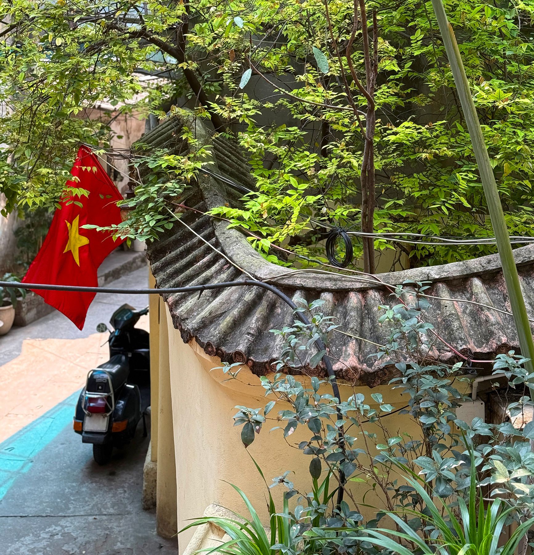 Dinh thự Didelot 