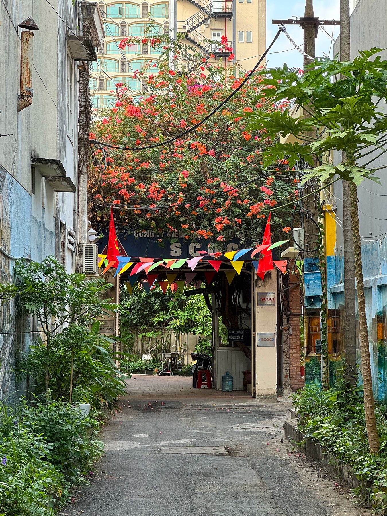 Đường Phạm Ngọc Thạch