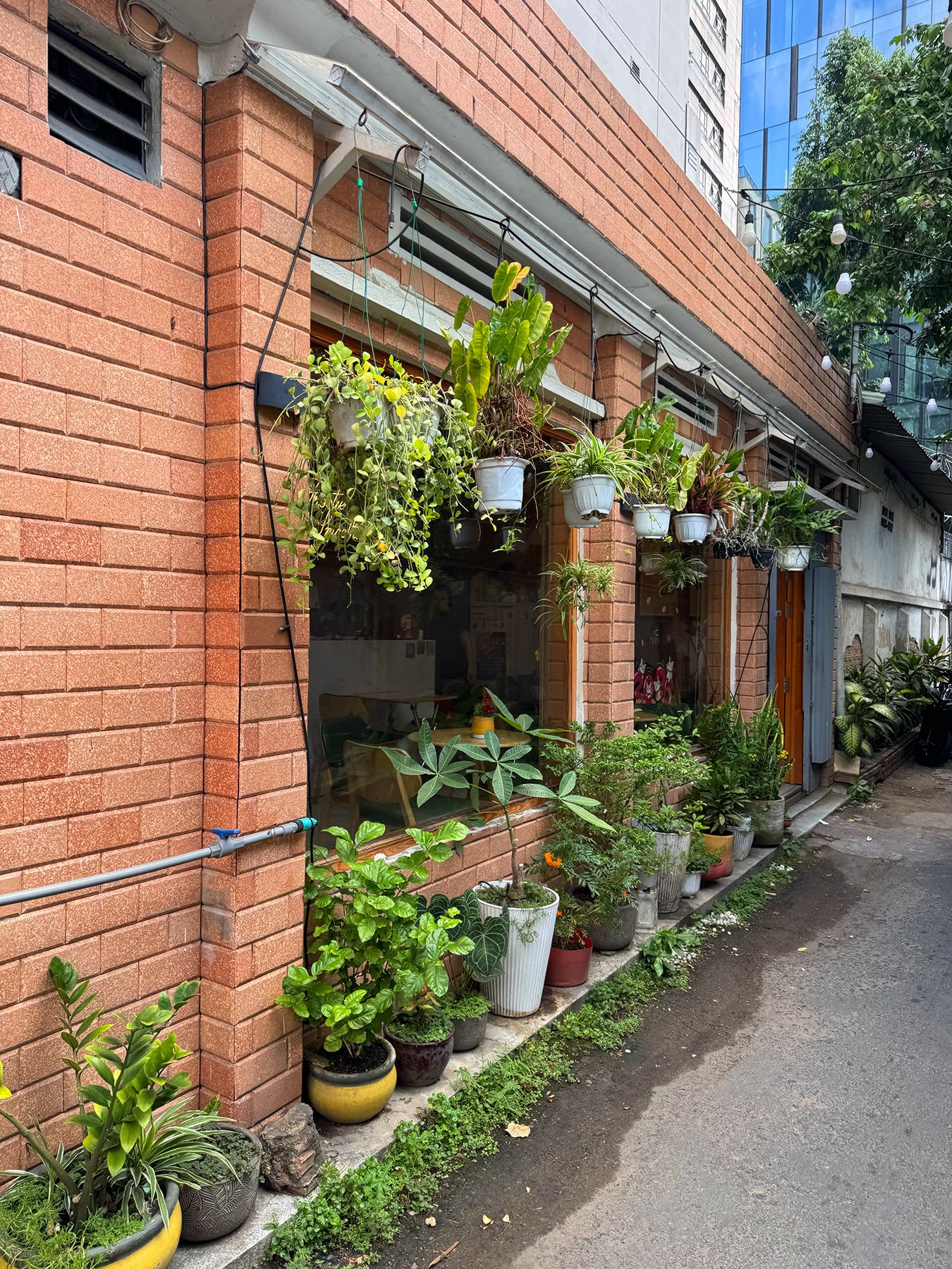 Đường Phạm Ngọc Thạch