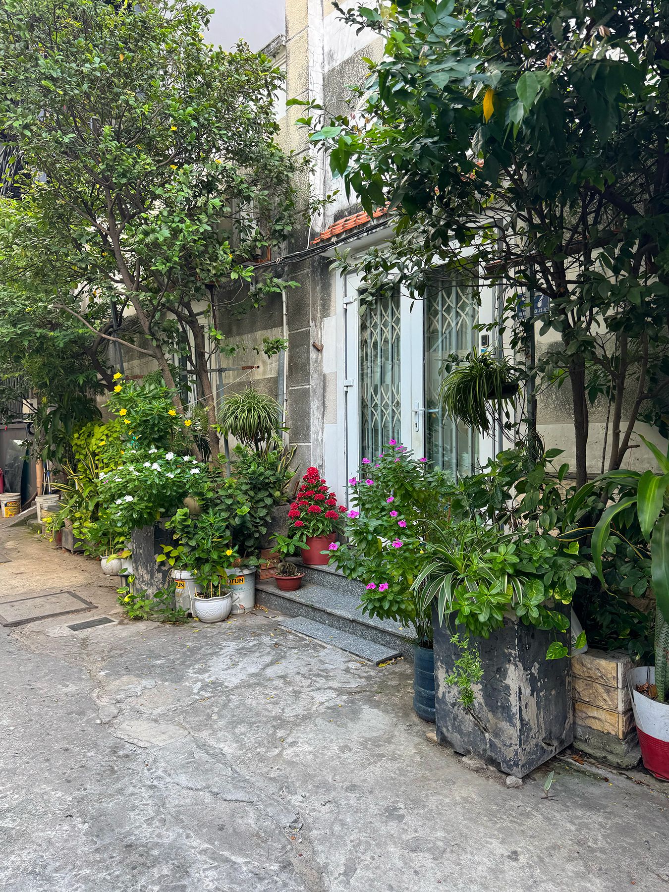 Đường Phạm Ngọc Thạch