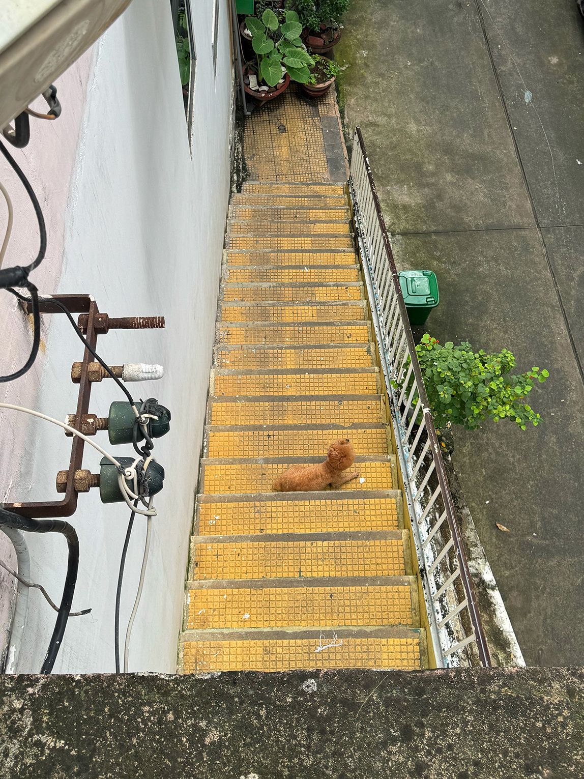 Hẻm 96 Võ Thị Sáu 