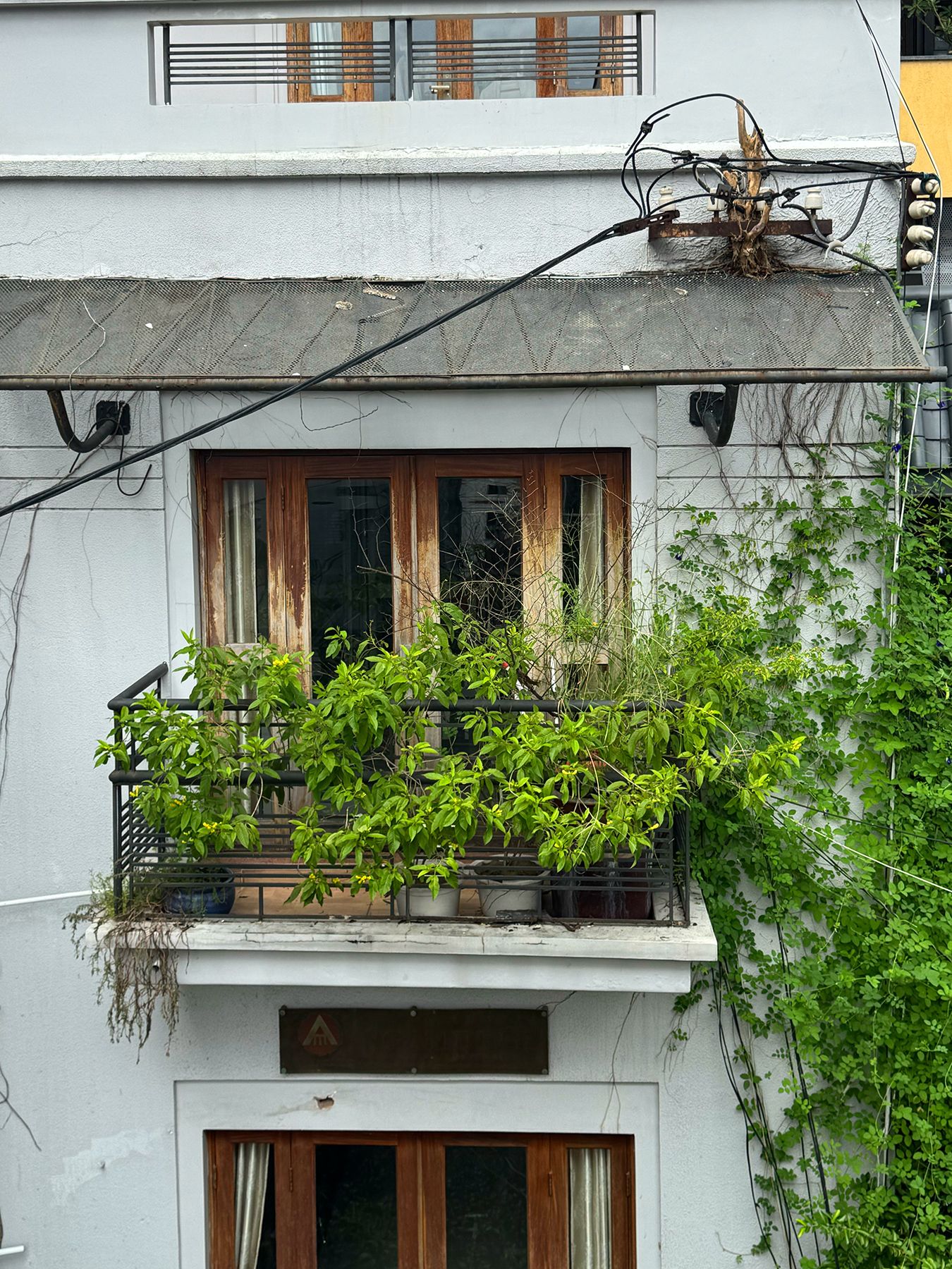 Hẻm 96 Võ Thị Sáu 