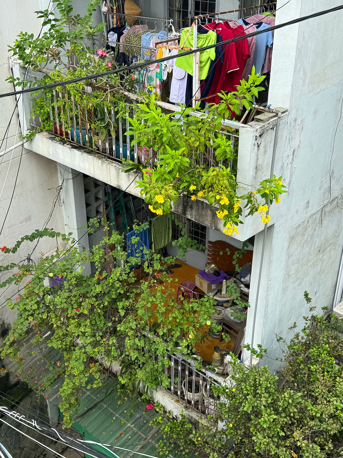 Hẻm 96 Võ Thị Sáu 