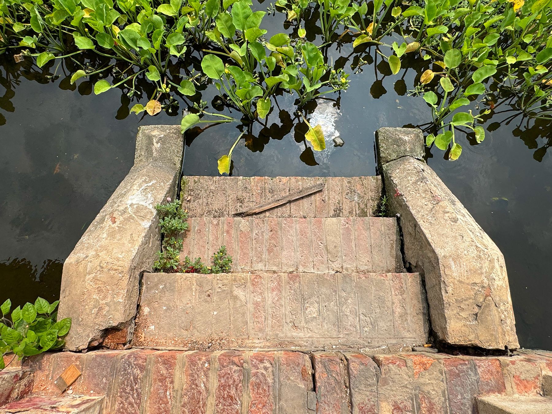 Nhà cổ Nguyễn Minh Giác