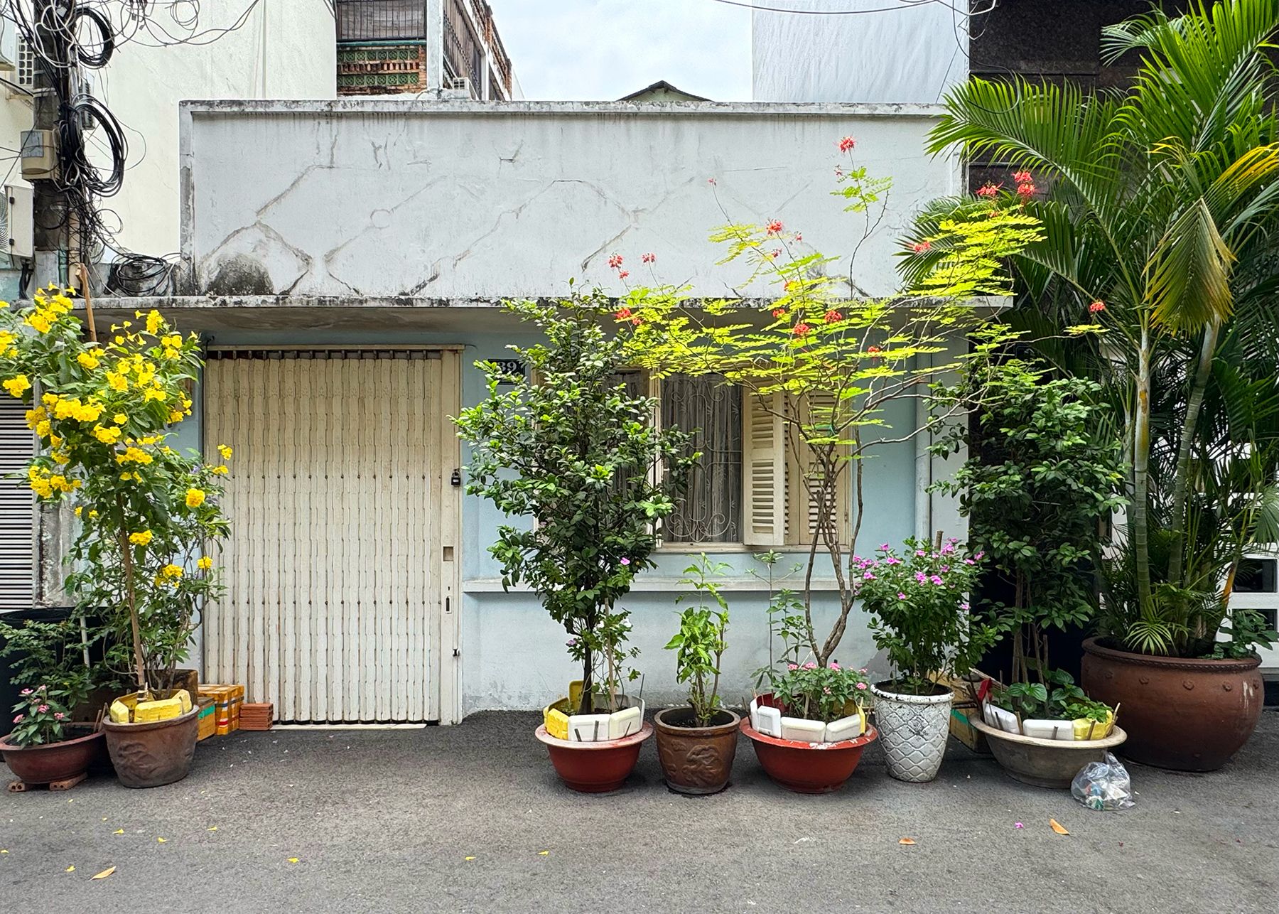 Cư xá Trần Quang Diệu 