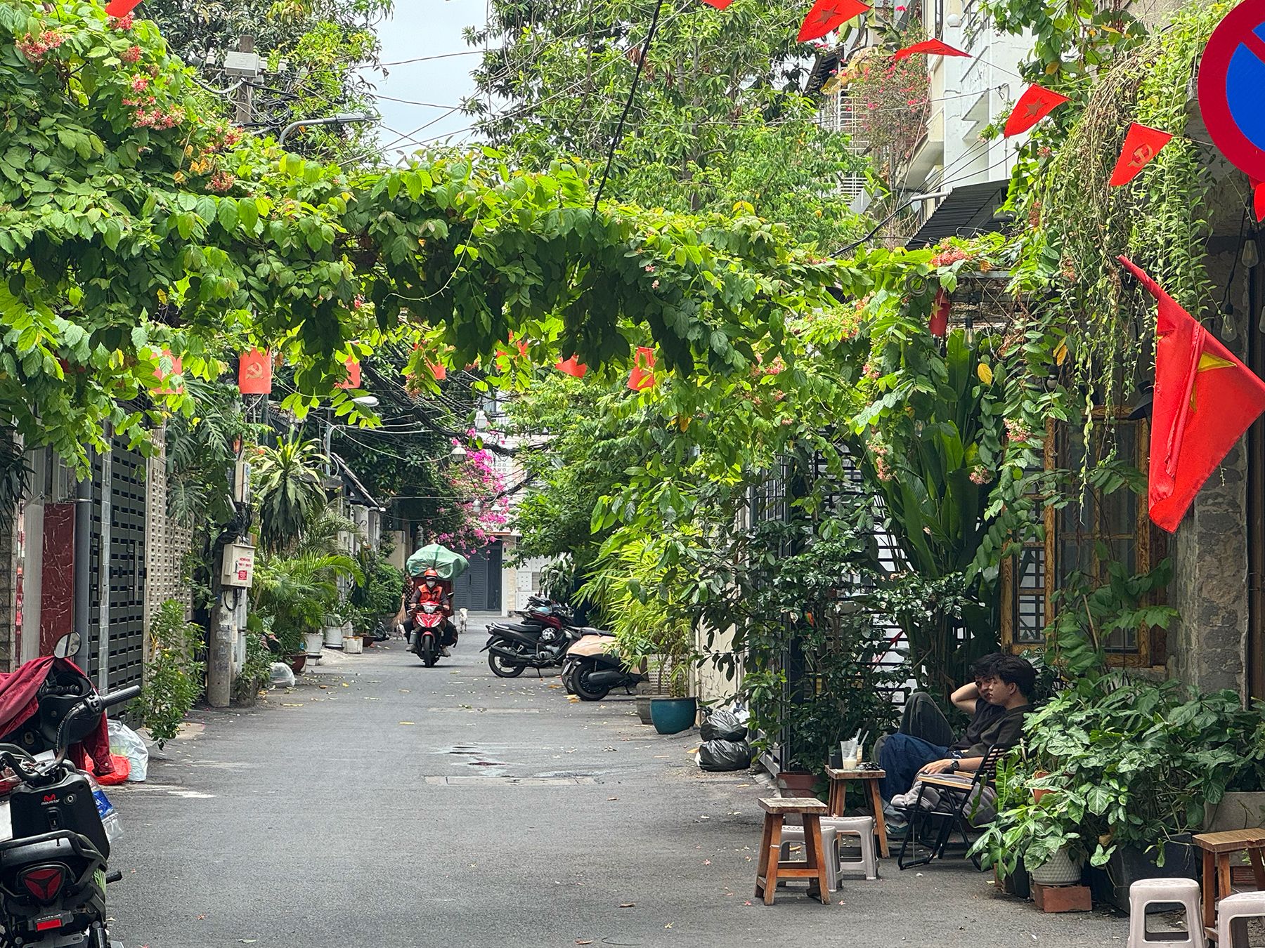 Cư xá Trần Quang Diệu 