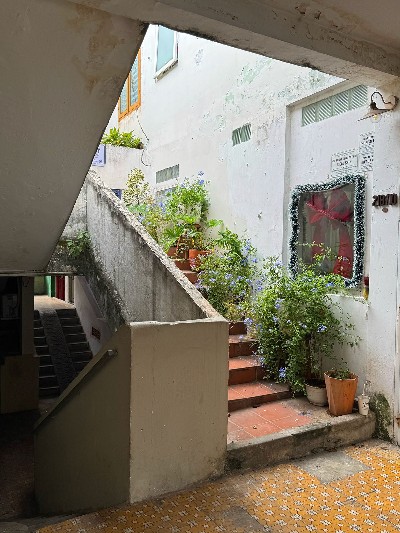 Chung cư Nguyễn Đình Chiểu