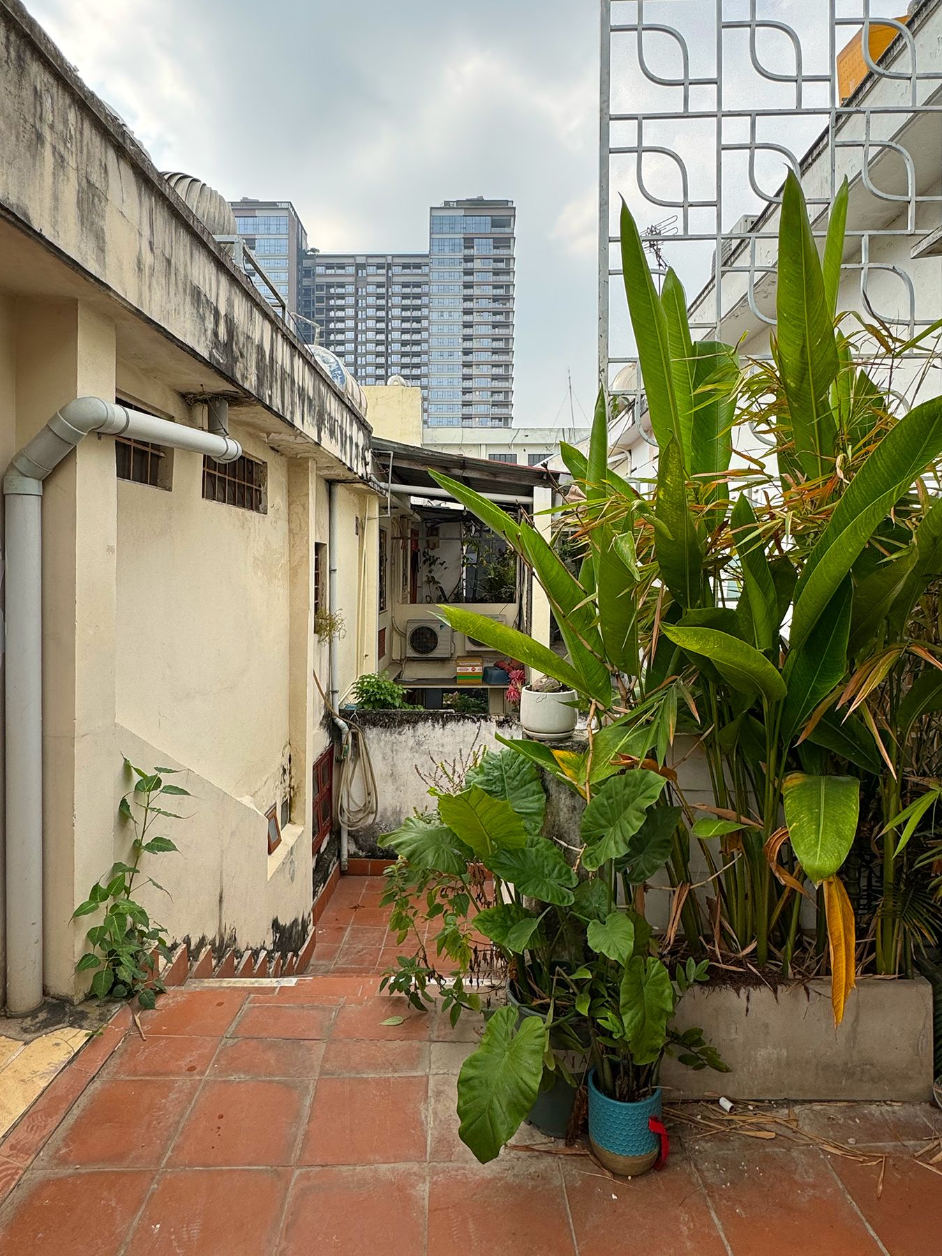 Cư xá Nguyễn Đình Chiều