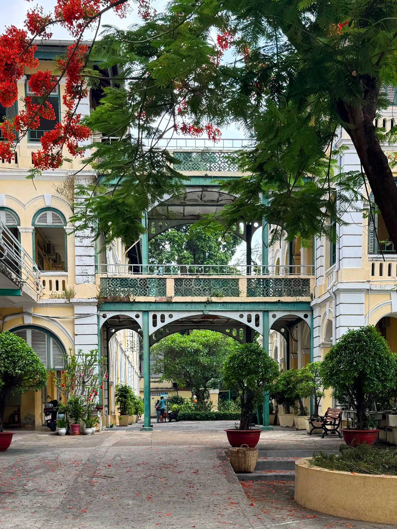 Trường Trần Đại Nghĩa