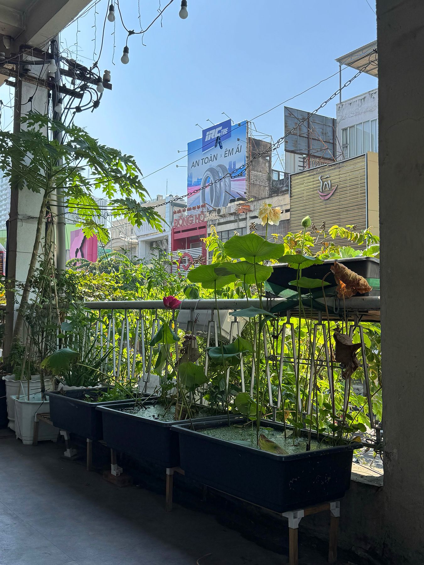 Năng lượng Sài Gòn 