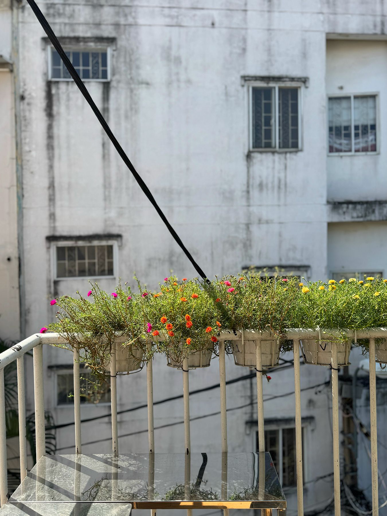 Hẻm 96 Võ Thị Sáu 