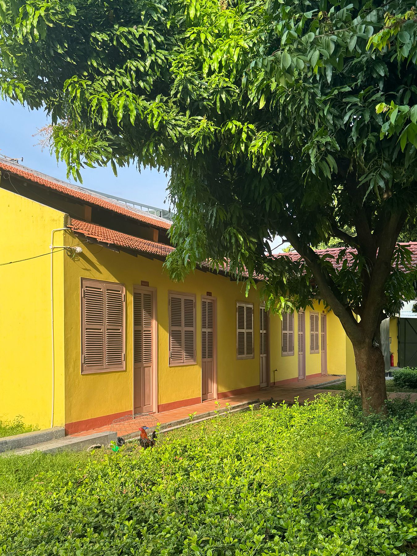 Biệt thự 87A Trần Kế Xương 