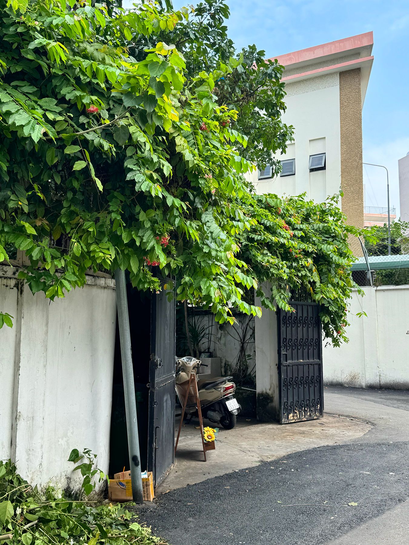 Hẻm 232 Võ Thị Sáu