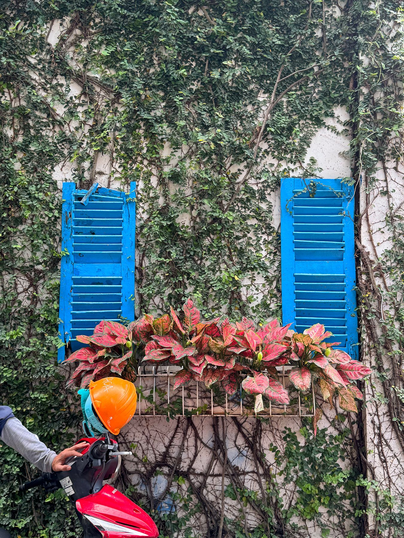 Hẻm 232 Võ Thị Sáu