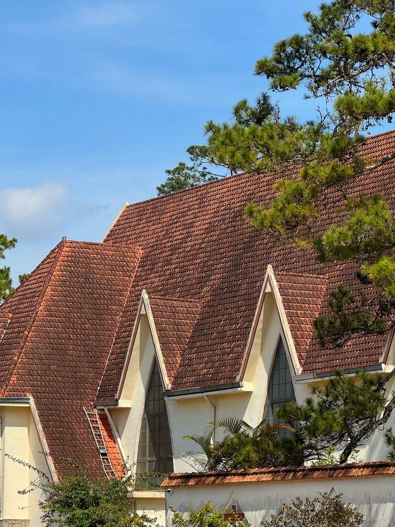 Notre Dame du Langbian