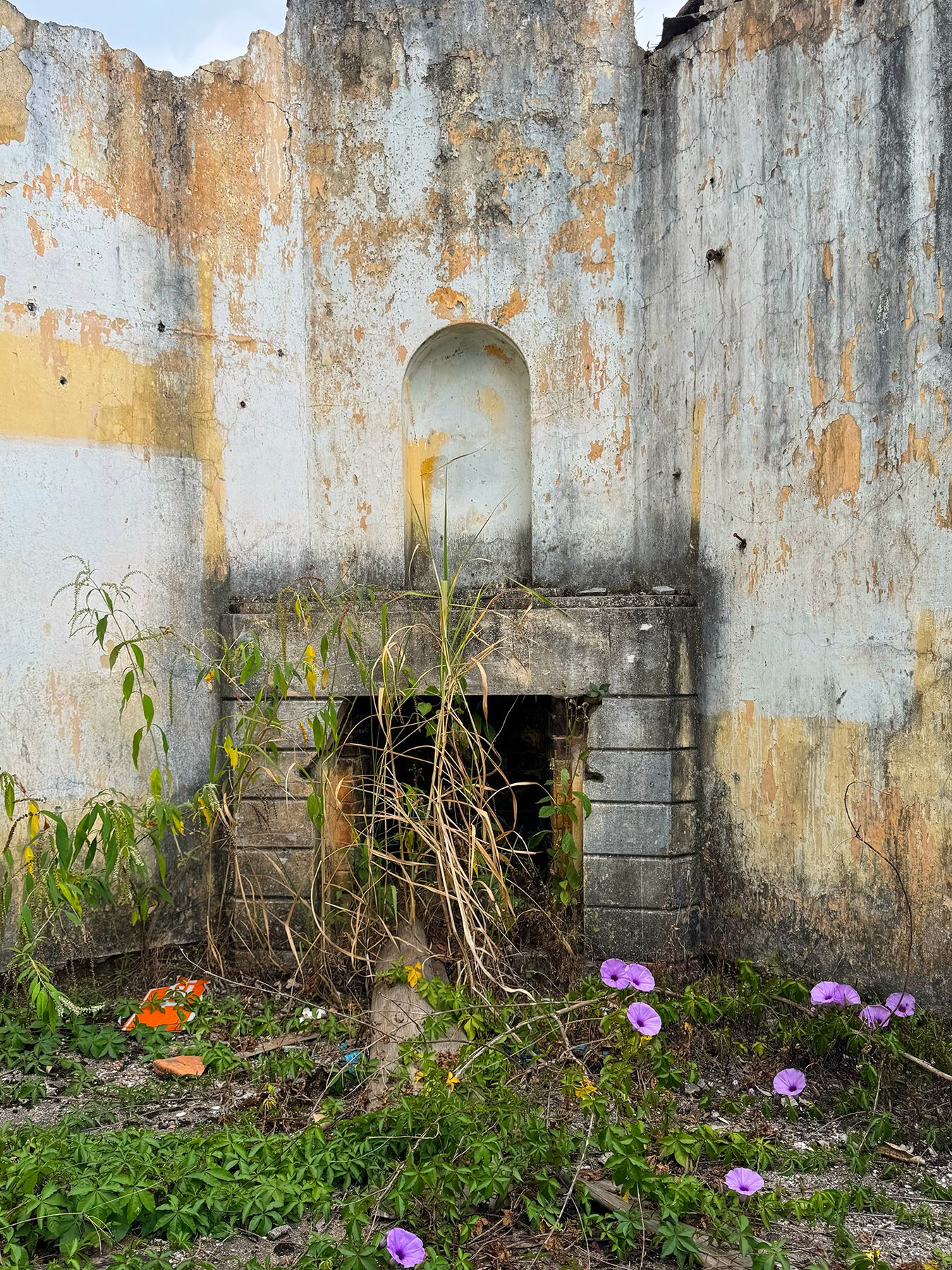 Tu viện Biển Đức Đà Lạt