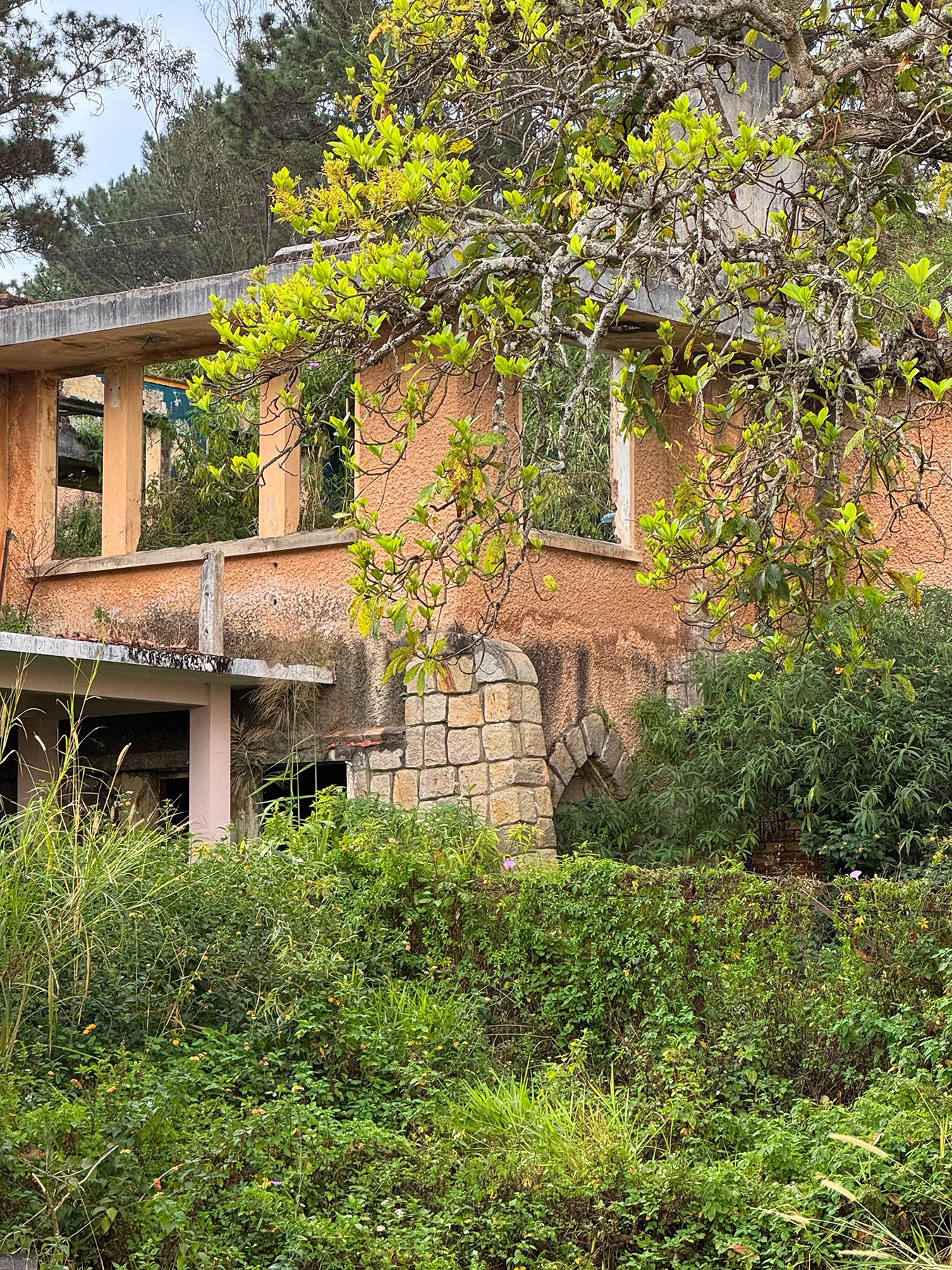 Tu viện Biển Đức Đà Lạt