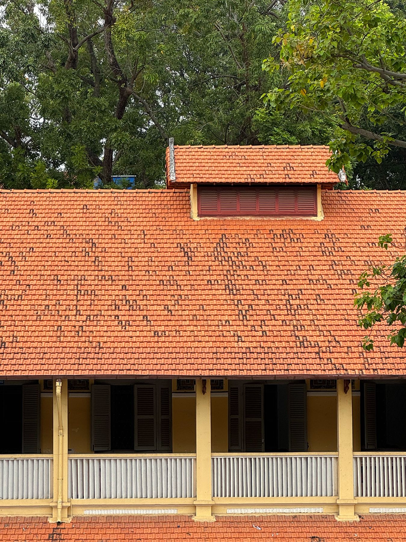 Đại học Sài Gòn 