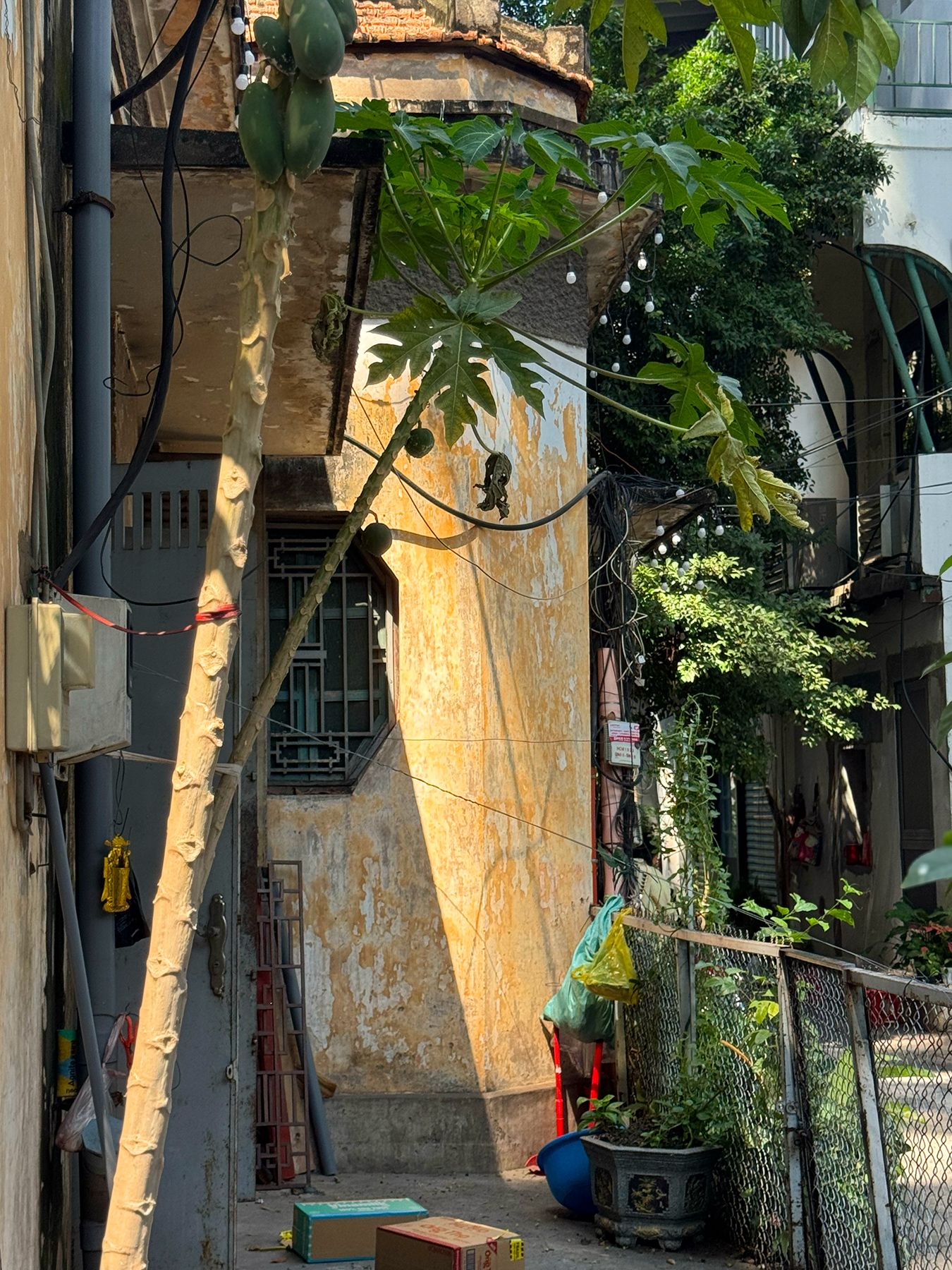 Biệt thự số 10 Sương Nguyệt Anh 