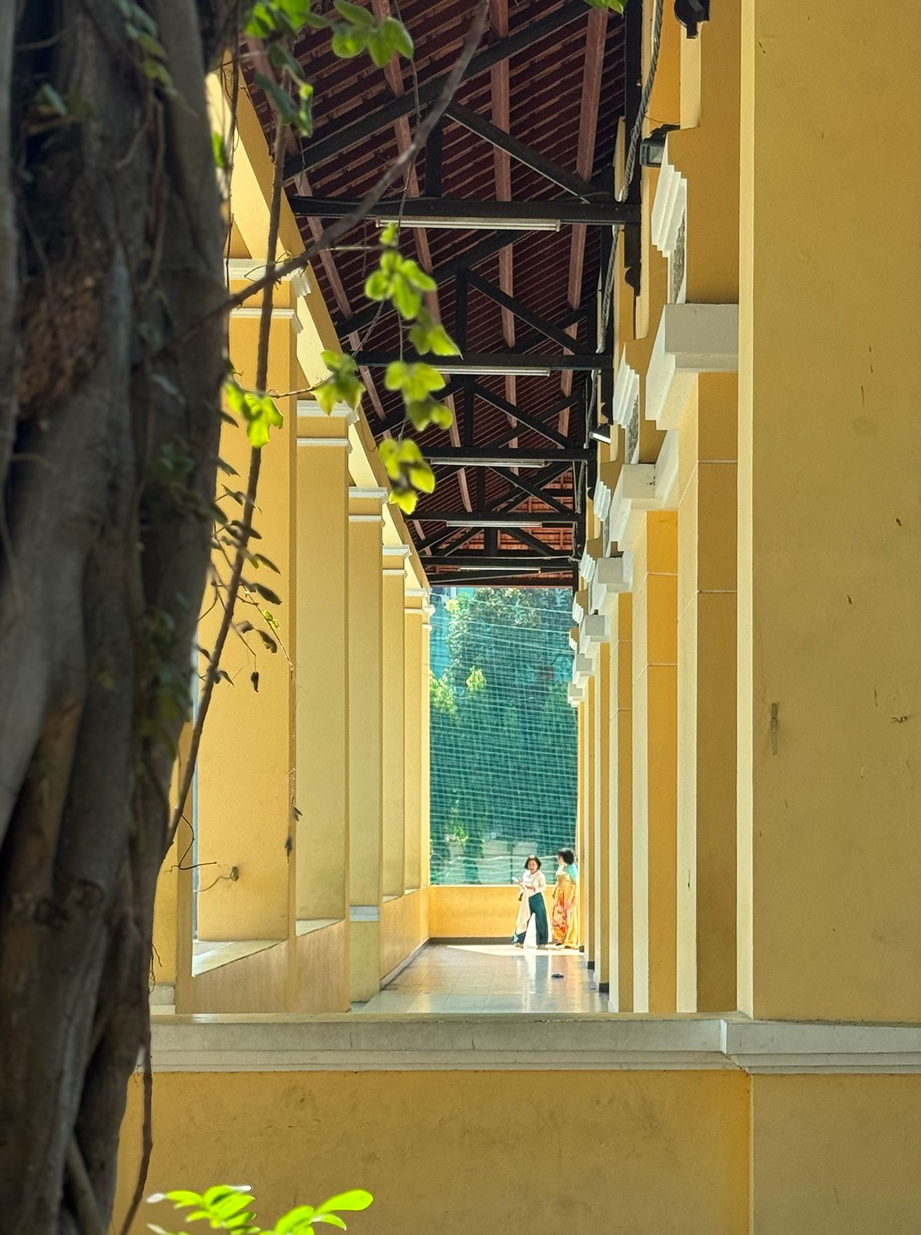 Trường Nguyễn Thị Minh Khai 