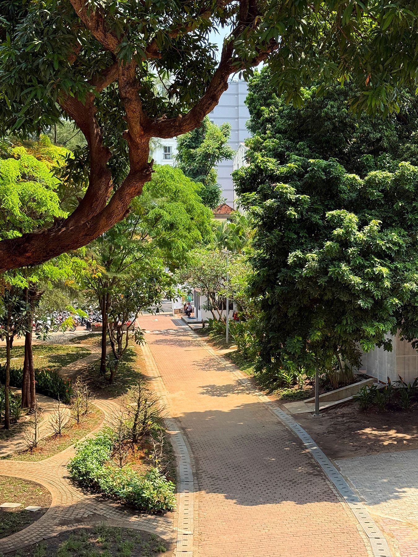 Đường Phạm Ngọc Thạch